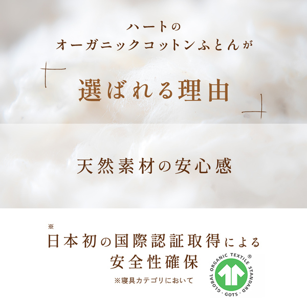 オーガニック掛ふとん(オーガニックコットン生地 オーガニック掛ふとん(オーガニックコットン生地