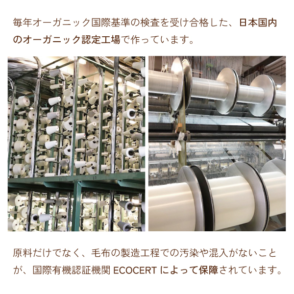 オーガニック綿毛布