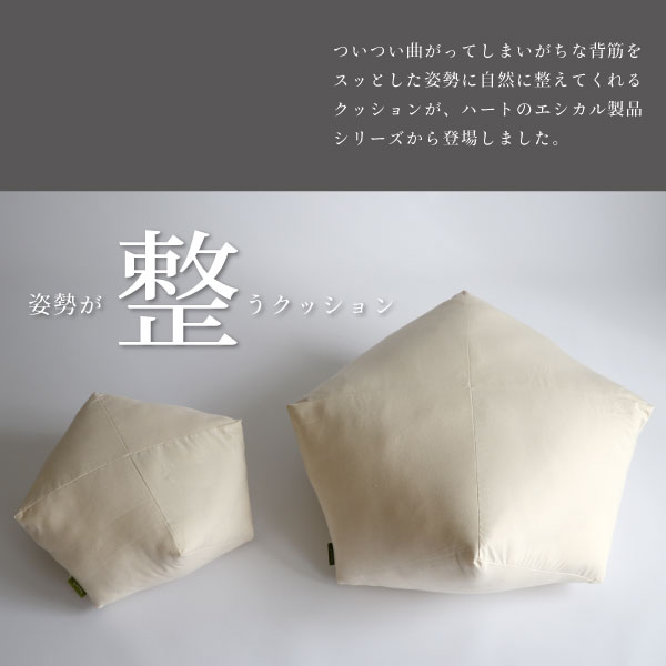 自然と姿勢が整うクッション 自然と姿勢が整うクッション
