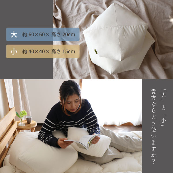 大小2サイズのととのうクッション 大小2サイズのととのうクッション