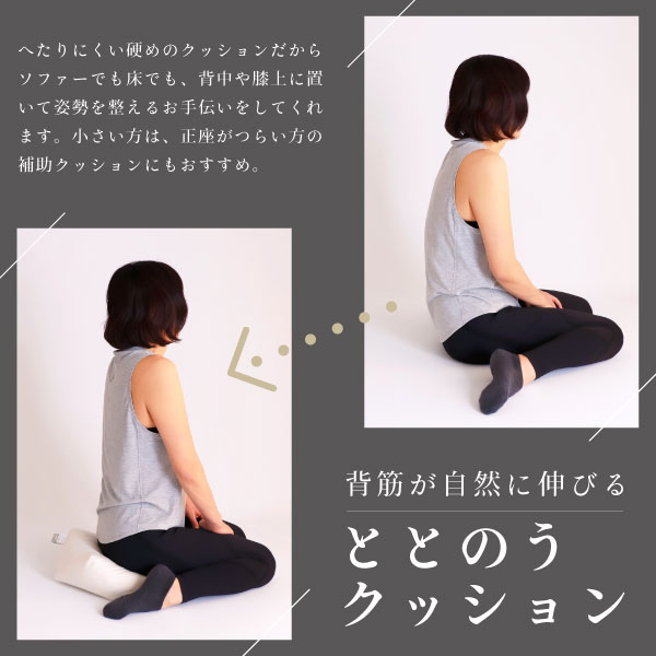 背筋が自然に伸びるクッション 背筋が自然に伸びるクッション