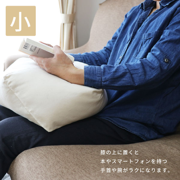ととのうクッション小 ととのうクッション小