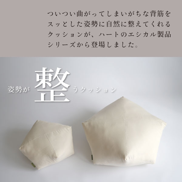 自然と姿勢が整うクッション 自然と姿勢が整うクッション
