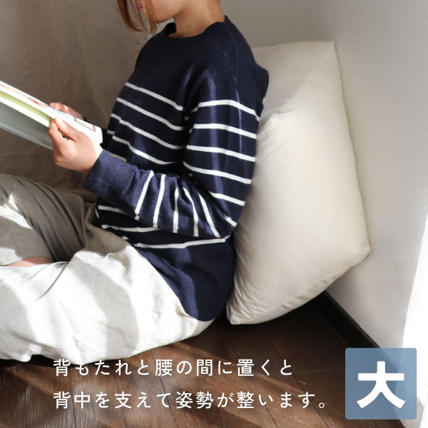 ととのうクッション大 ととのうクッション大