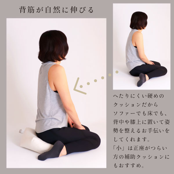 背筋が自然に伸びるクッション 背筋が自然に伸びるクッション