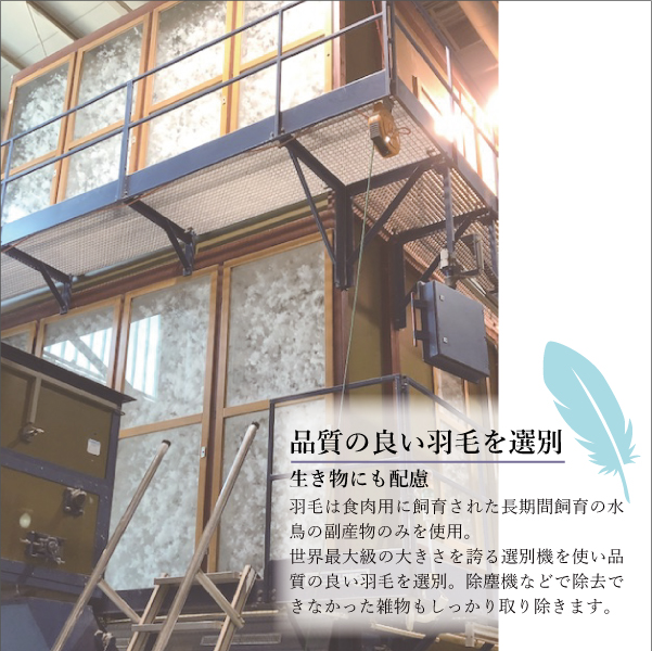 石けん洗いの羽毛 石けん洗いの羽毛